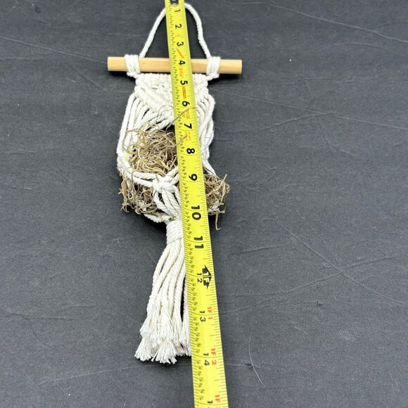 Handmade Macrame Air Plant Holder White Wooden Dowel‎ Grass 14”H Boho Hippie - Picture 7 of 9